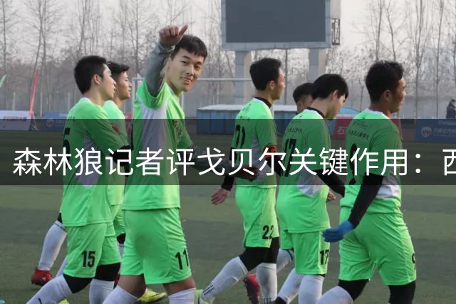 森林狼记者评戈贝尔关键作用：西决之旅不可或缺